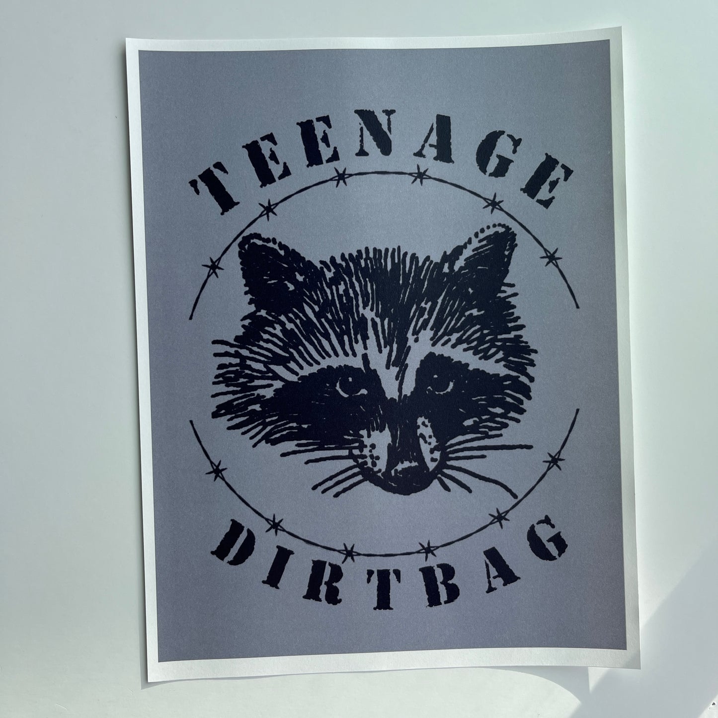 Teenage dirtbag poster
