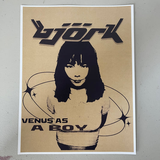 Bjork poster