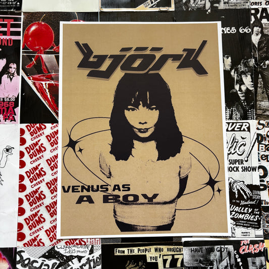 Bjork poster